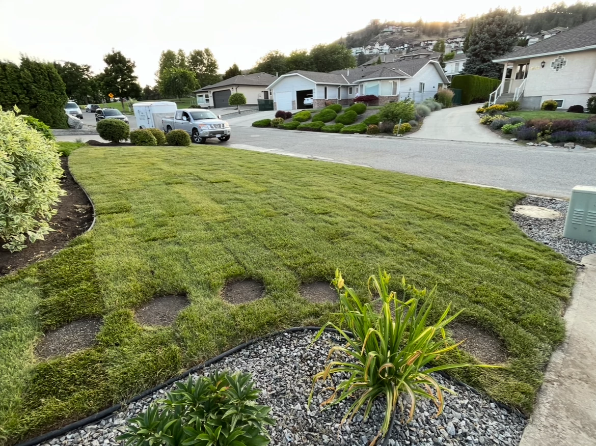 landscape and yard, with a bed of rocks and green grass